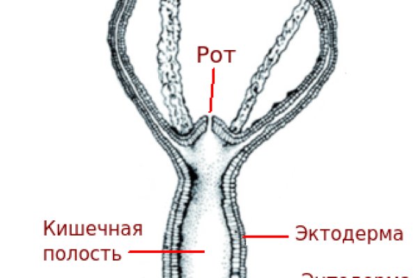 Где найти ссылку на кракен