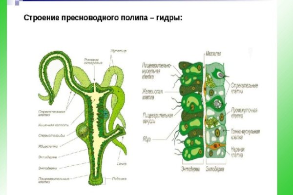 Омг ссылка на сайт зеркало тор