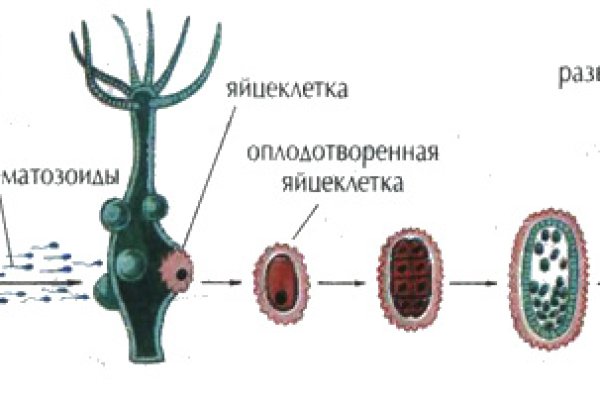 Сайт mega тор