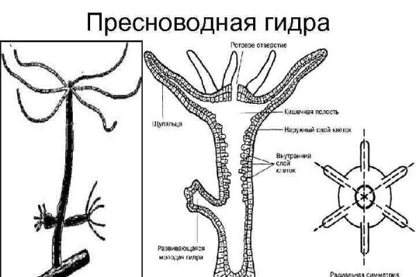 Омг заказать марихуану